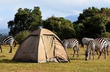 Lake Manyara Guided Day Tour from Arusha