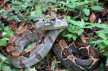 Manuel Antonio National Park Hiking Tour