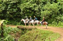 Horseback Riding through the Jungle 