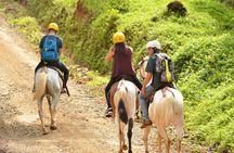 Horseback Riding through the Jungle 