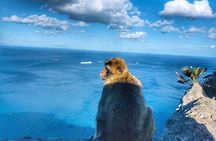 Gibraltar Sightseeing Private Full Day Shore Excursion 