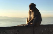 Gibraltar Sightseeing Private Full Day Shore Excursion 