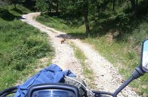Offroad Cefalù Quad Tour