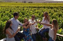 Casablanca Valley Experience 