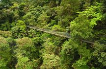 Hanging Bridges Adventure San Luis From San Jose