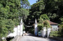 Tijuca Forest + Botanical Garden + Lage Park - by Alan Denis