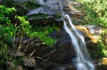 Tijuca Forest + Botanic Garden + Lage Park - by Alan Denis