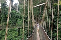 Cape Coast Day Tour From Accra 