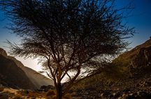 Sunset Luxury Experience to Dry Canyon Wadi Belli