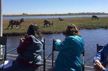 Chobe half day trip 