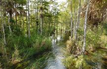 4-Hour Swamp Buggy Adventure Tour in Florida