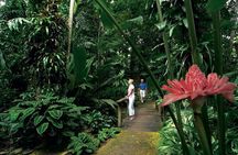 Cairns City Sights and Surrounds Tour