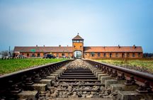 Auschwitz-Birkenau and Salt Mine with private transportation