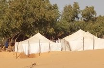 Lompoul desert with delta du Saloum 2 nights 3 days trip. .