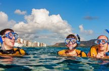 Turtle Canyons Snorkel Excursion from Waikiki, Hawaii