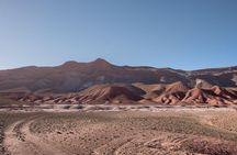 Quad Biking and Camel Ride Guided Day Trip from Marrakech