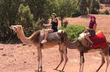 Quad Biking and Camel Ride Guided Day Trip from Marrakech