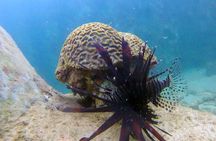 Puerto Rico Jet Snorkel Tours
