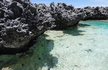 REEF ISLAND | private island | pink sand | natural swimming pools