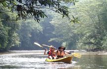 Fun Filled Kayaking Adventure in Kuching