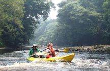 Fun Filled Kayaking Adventure in Kuching