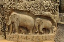 Archaeologist curation only Mahabalipuram Trip