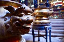 Hong Kong Discovery Tour with private MPV [5 hours] 