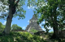 Tikal Shared Experience: Flight + One Day Tour from Antigua