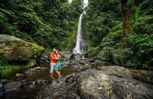 Gitgit and Alingaling Waterfalls Private Group Tour - Full Day