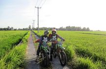 BEGINNER RIDE - Learn to ride and enjoy the sandy beach