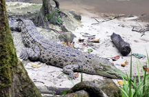 Semenggok Wildlife Centre