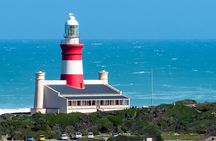 Cape Agulhas | Stony Point Nature Reserve
