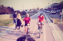Belgrade Island Bike Tour
