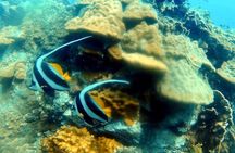 Bubblemaker, diving for youngsters, 8 and 9 years old ( Start at Ko Kut)