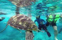 Surin Islands Snorkeling Trip from Phuket