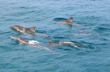 Surin Islands 3 Days 2 Nights Trip from Phuket 