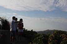 Muscat Raisin Route - Small group with lunch included