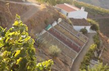 Muscat Raisin Route - Small group with lunch included
