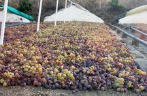Muscat Raisin Route - Small group with lunch included