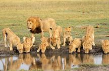 6 Day Mid-range Serengeti, Ngorongoro, Lake Manyara and Tarangire National Park