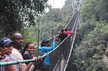 4-Day Rwanda Gorilla trek, Chimp & Lake Kivu exploration