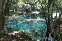 Punta Cana Cenote Hoyo Claro Hiking Tour + Juanillo Beach 