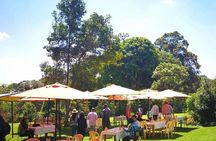 Nairobi to Kiambethu Tea Farm Tour