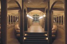 Maipo Valley Experience 