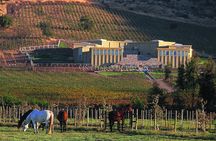 Maipo Valley Experience 