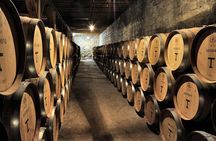Maipo Valley Experience 