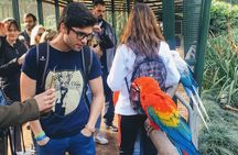 From Buenos Aires: Temaiken Biopark with Transfer and Tickets