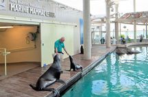 New England Aquarium Admission Ticket
