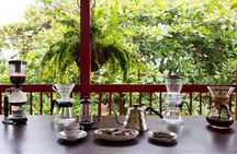 Coffee tour in the heart of the coffee region