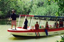 Damas Island Mangrove Fishing Tour from Manuel Antonio